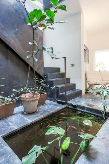 Elegante Duplex Centro Sevilla Matahacas 1 ภายนอก รูปภาพ